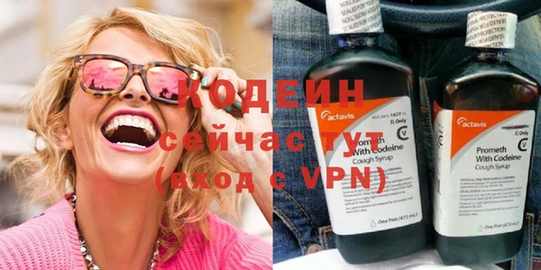 гашик Алзамай