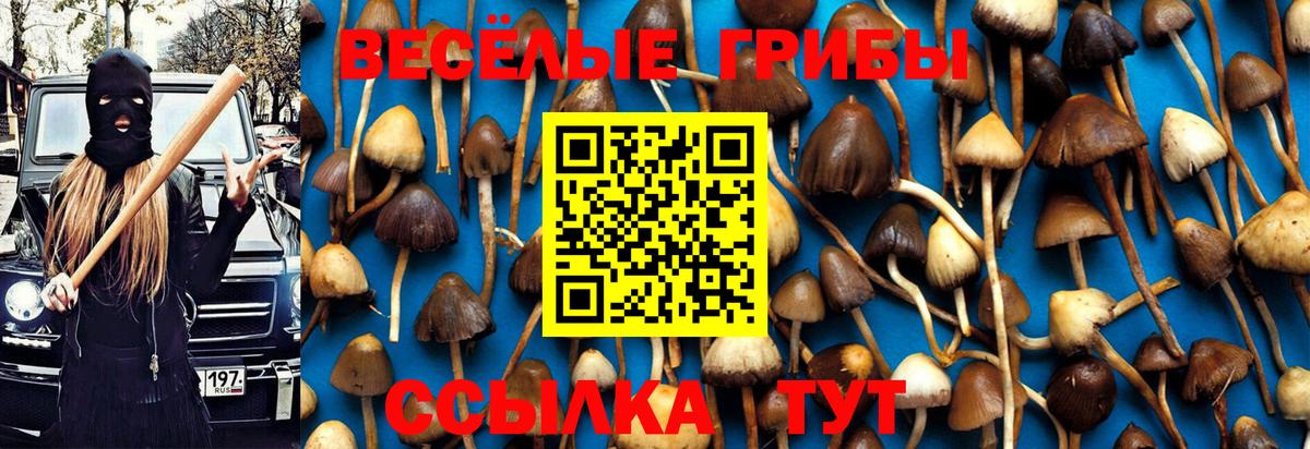 Псилоцибиновые грибы GOLDEN TEACHER Алексеевка