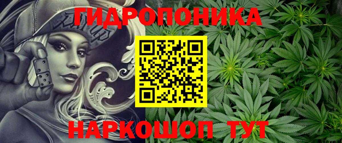 Алексеевка  Конопля Amnesia  Бошки марихуана планчик  Вход с VPN  Конопля план  Марихуана LSD WEED 